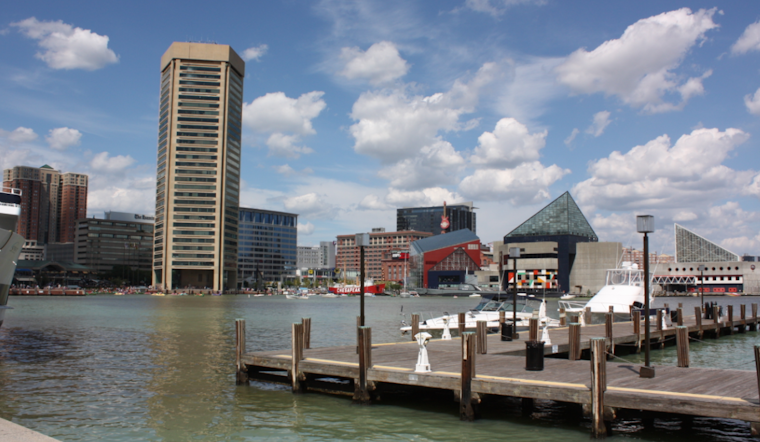25,000 Dead Fish Surface in Baltimore's Inner Harbor Due to Natural Oxygen Depletion