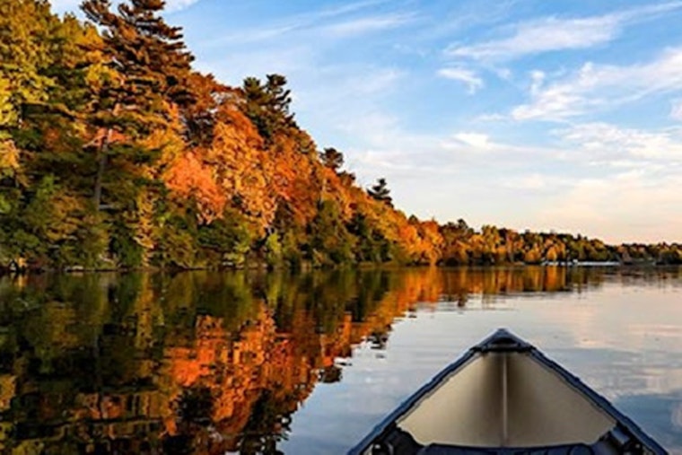 50+ Canoeing Experience Among Autumn Colors at Cleary Lake Regional Park