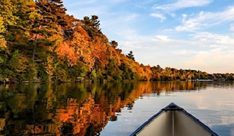 50+ Canoeing Experience Among Autumn Colors at Cleary Lake Regional Park