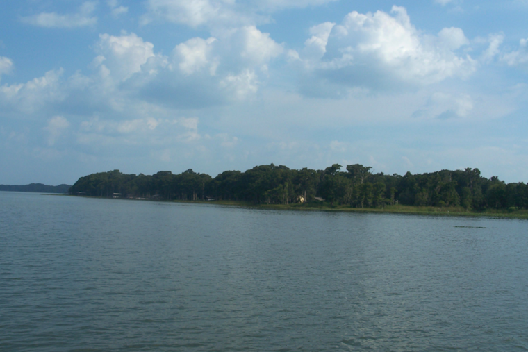 8-Year-Old Airlifted to Hospital After Falling from Boat on Lake Harris, FWC Investigating