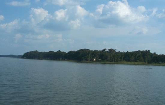 8-Year-Old Airlifted to Hospital After Falling from Boat on Lake Harris, FWC Investigating