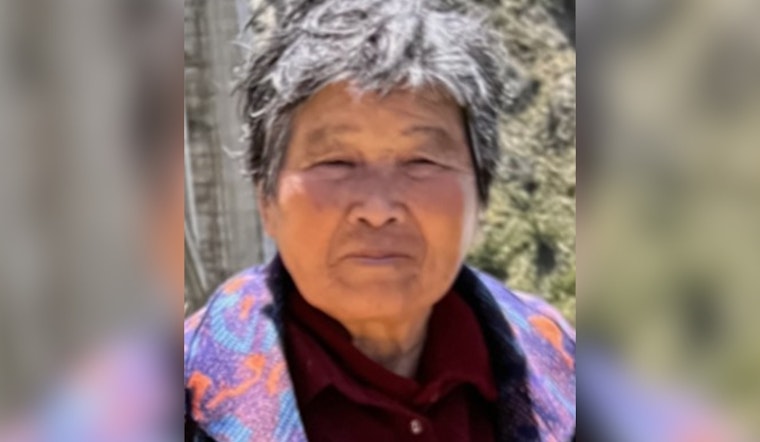 81-Year-Old Meilin Gu Missing in San Jose, CHP Issues Silver Alert for
