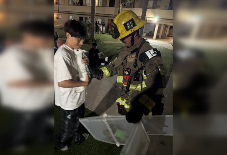 Early Morning Blaze in Santa Ana Displaces Residents and Injures Two, Heroic Firefighters Save Pet Bunnies