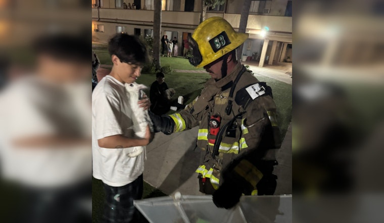 Early Morning Blaze in Santa Ana Displaces Residents and Injures Two, Heroic Firefighters Save Pet Bunnies