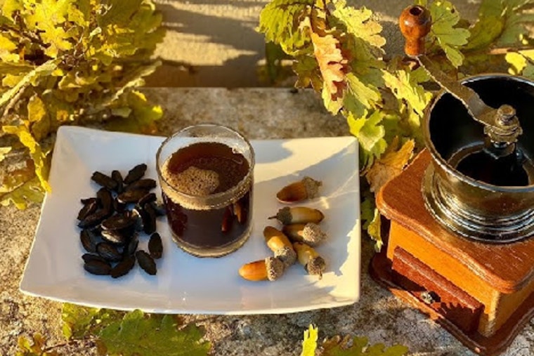 Acorn Coffee Makes a Comeback as Ancient Beverage Gains Popularity in Scott County