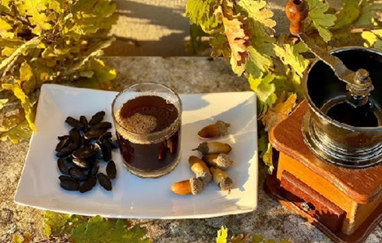 Acorn Coffee Makes a Comeback as Ancient Beverage Gains Popularity in Scott County