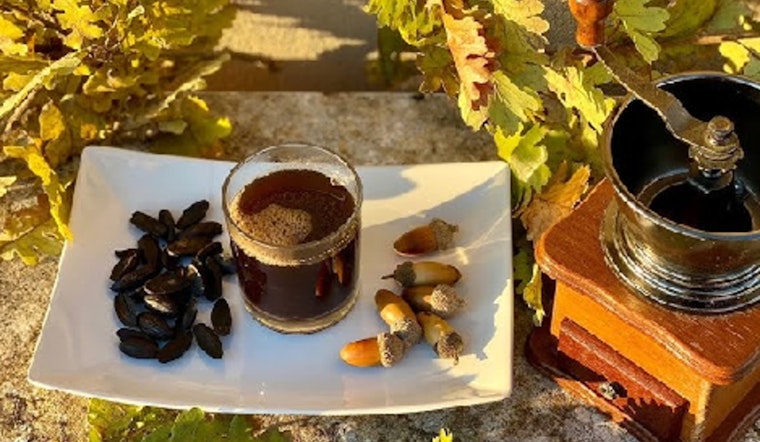 Acorn Coffee Makes a Comeback as Ancient Beverage Gains Popularity in Scott County