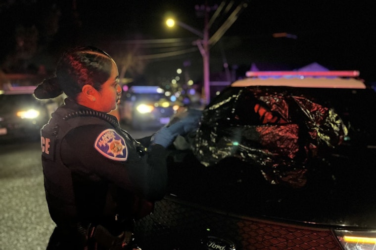 Alameda Children Hailed as Heroes for Foiling Burglary Attempt on San Diego Road