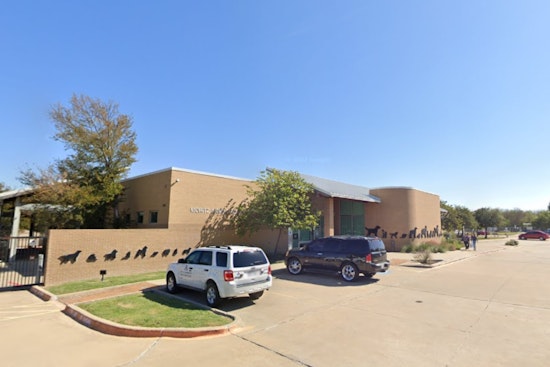 Arlington Animal Shelter Launches $5 Adoption Special Amid Surging Intakes