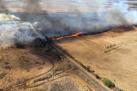 Arson Suspected in Maui Brush Fire as Authorities Probe Intentional Ignition That Scorched 400 Acres Near Paia