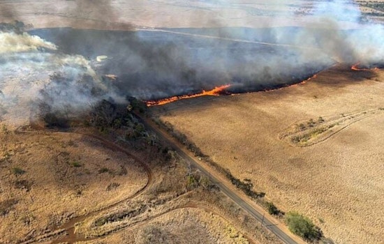 Arson Suspected in Maui Brush Fire as Authorities Probe Intentional Ignition That Scorched 400 Acres Near Paia