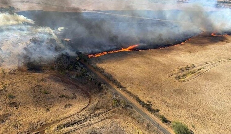 Arson Suspected in Maui Brush Fire as Authorities Probe Intentional Ignition That Scorched 400 Acres Near Paia