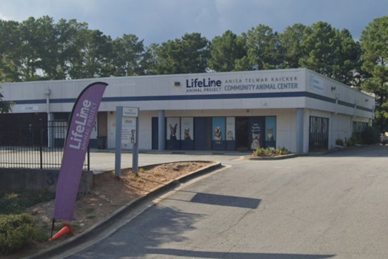 Atlanta Free Adoption Event, LifeLine Animal Project Teams Up with Petco Love to Help Pets Find Homes