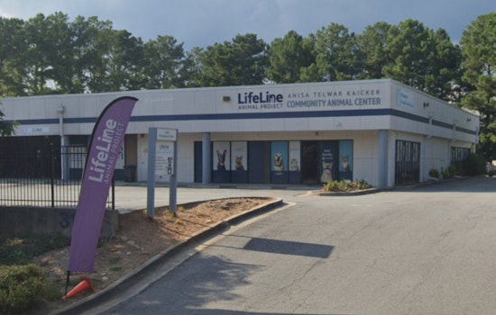 Atlanta Free Adoption Event, LifeLine Animal Project Teams Up with Petco Love to Help Pets Find Homes