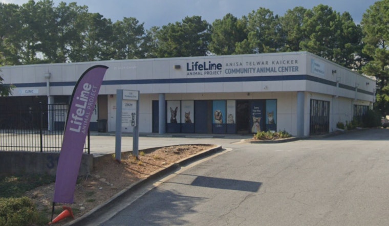 Atlanta Free Adoption Event, LifeLine Animal Project Teams Up with Petco Love to Help Pets Find Homes