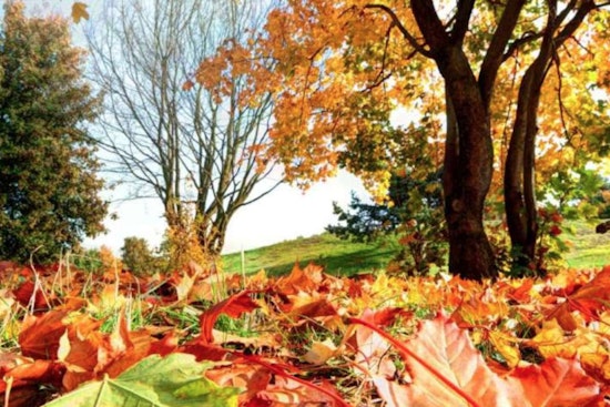 Autumn Delight as Raleigh Parks Unveil Festive Fall and Halloween Events Lineup for All Ages