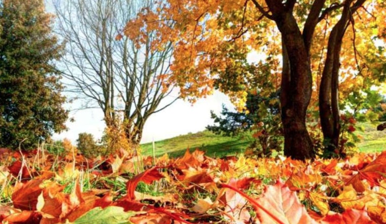Autumn Delight as Raleigh Parks Unveil Festive Fall and Halloween Events Lineup for All Ages