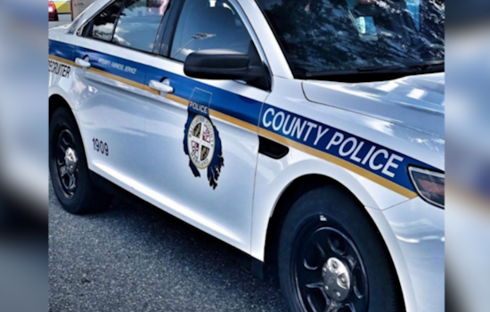 Baltimore County Police Probe Death of Woman in Monkton, Suspected Link to Domestic Disturbance