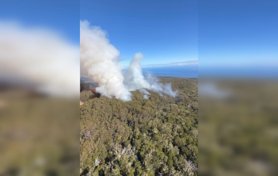 Big Island Brush Fire Engulfs 900 Acres as Hawaii Firefighters Reach 70% Containment Amid Challenges