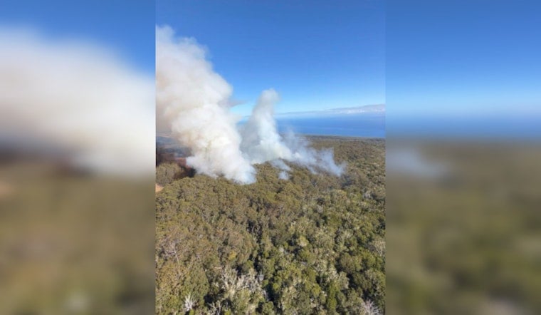 Big Island Brush Fire Engulfs 900 Acres as Hawaii Firefighters Reach 70% Containment Amid Challenges