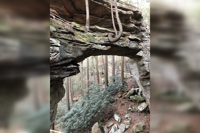 Big South Fork National Park Boosts Local Economy with $28.5 Million from Visitor Spending in 2024