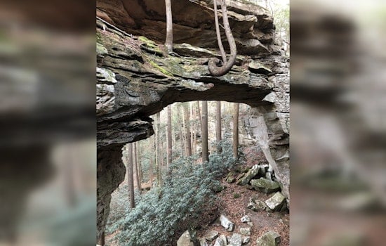 Big South Fork National Park Boosts Local Economy with $28.5 Million from Visitor Spending in 2024