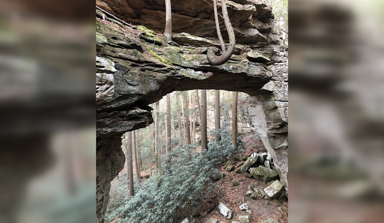 Big South Fork National Park Boosts Local Economy with $28.5 Million from Visitor Spending in 2024