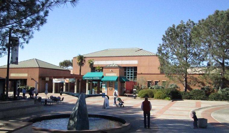 Birch Aquarium at UC San Diego Merges Spooky Fun with Science for 'Halloween Aglow' Event