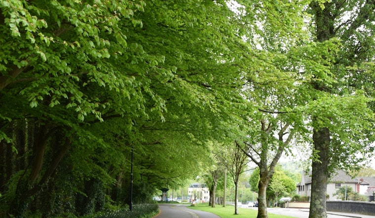 Bloomington Residents Urged to Trimming Vegetation to Keep Sidewalks and Streets Safe