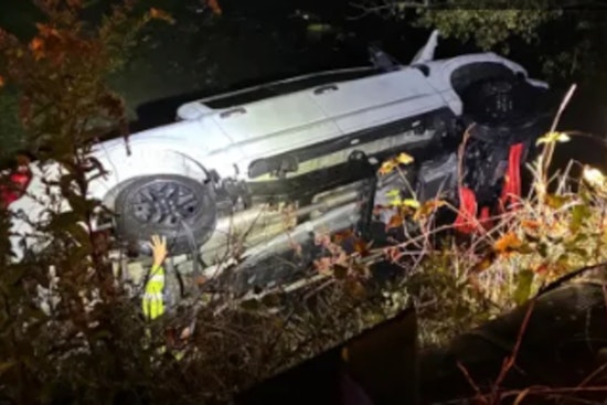 Boston Man and Two Dogs Rescued from Matfield River after Truck Plunges Off East Bridgewater Road