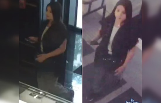 Boston Police Seek Public's Assistance in Identifying Suspect in Credit Card Fraud Case on Winter and Newbury Streets