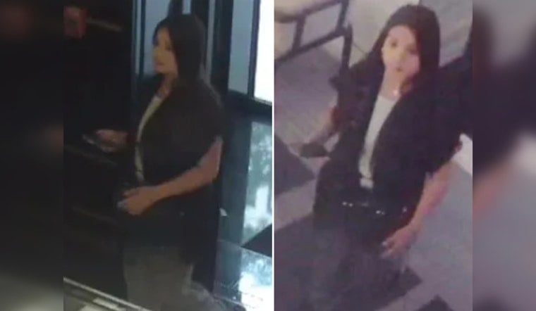 Boston Police Seek Public's Assistance in Identifying Suspect in Credit Card Fraud Case on Winter and Newbury Streets