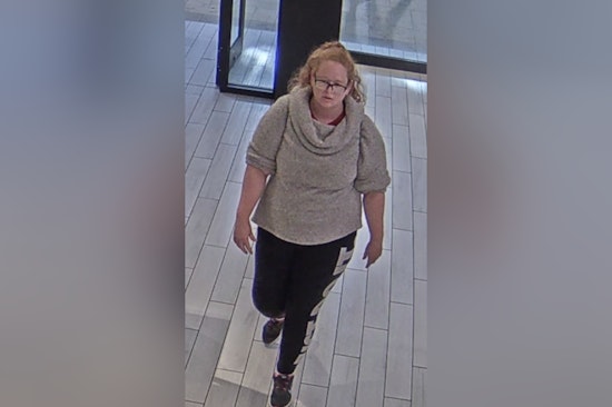 Boston Police Seek Public's Assistance to Identify Suspected Thief at Prudential Center Canada Goose Store