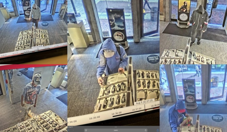 Boston Police Seek Public's Help in Solving Sunglass Hut Thefts at Faneuil Hall