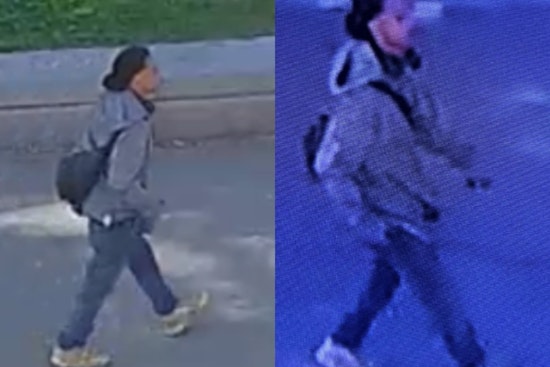 Boston Police Seek Public's Help to Identify Suspect in Boston Common Arson Cases