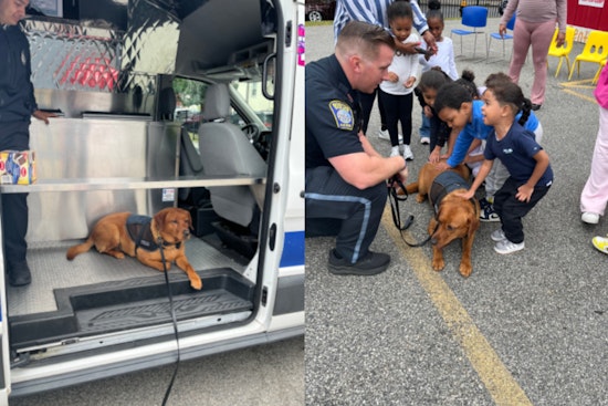 Boston Police Sweeten Community Relations with Ice Cream Truck and Comfort Dog Visit in Roxbury