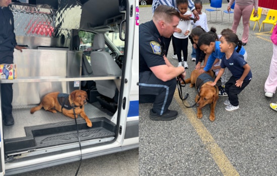 Boston Police Sweeten Community Relations with Ice Cream Truck and Comfort Dog Visit in Roxbury
