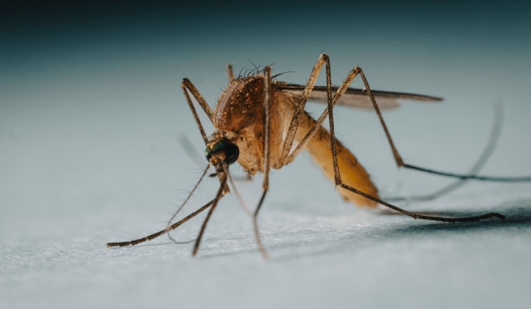 Boston Reports First Human Case of West Nile Virus This Year, Health Officials Urge Precaution