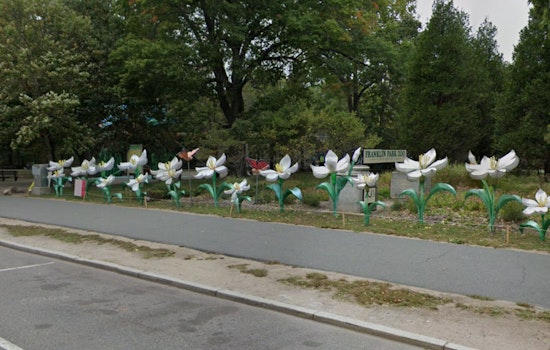 Boston's Iconic Mayor’s Cup Cross Country Celebrates 35 Years at Franklin Park
