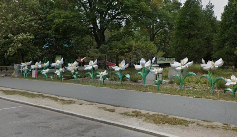 Boston's Iconic Mayor’s Cup Cross Country Celebrates 35 Years at Franklin Park