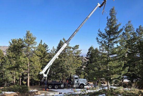 Boulder County Invites Applications for Strategic Fuels Mitigation Grants to Bolster Wildfire Defense Efforts