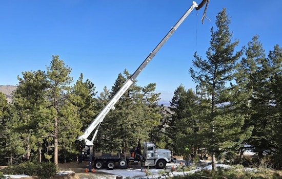 Boulder County Invites Applications for Strategic Fuels Mitigation Grants to Bolster Wildfire Defense Efforts