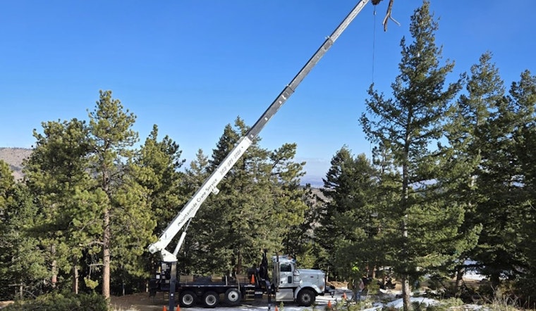 Boulder County Invites Applications for Strategic Fuels Mitigation Grants to Bolster Wildfire Defense Efforts