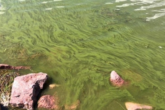 Boulder Officials Warn of Toxic Algae Bloom in Reservoir, Urge Public to Exercise Caution