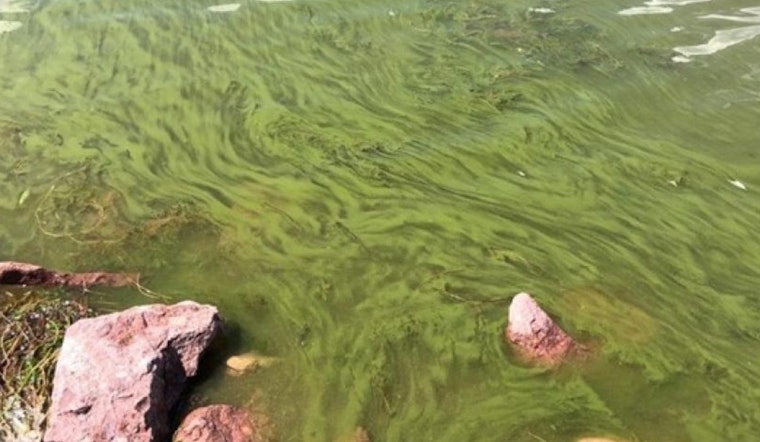Boulder Officials Warn of Toxic Algae Bloom in Reservoir, Urge Public to Exercise Caution