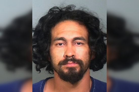 Bradenton Man Charged with Animal Cruelty After Allegedly Abusing Puppy at Local Kava Bar