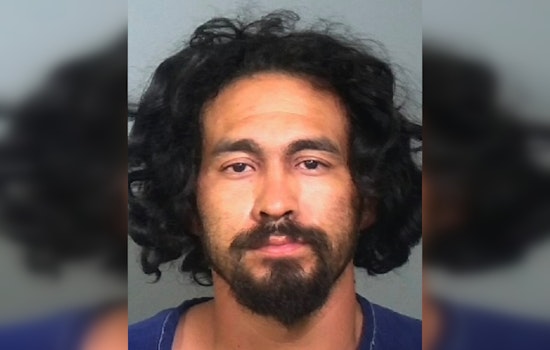 Bradenton Man Charged with Animal Cruelty After Allegedly Abusing Puppy at Local Kava Bar