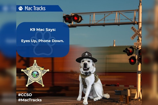 Cabarrus County K9 Officer Mac Champions Rail Safety Awareness in "See Tracks? Think Train!" Campaign