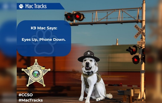 Cabarrus County K9 Officer Mac Champions Rail Safety Awareness in "See Tracks? Think Train!" Campaign
