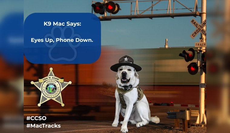 Cabarrus County K9 Officer Mac Champions Rail Safety Awareness in "See Tracks? Think Train!" Campaign